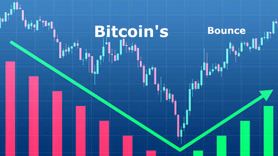 Bitcoin bounces back