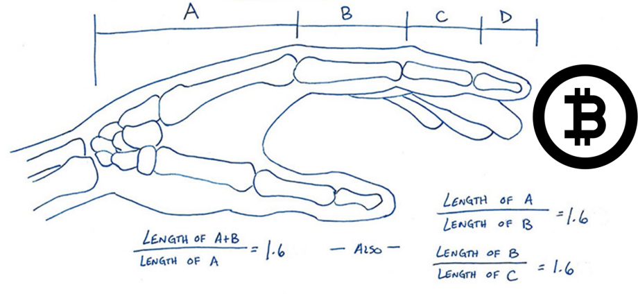 Alt coins sell off boosting Bitcoins dominance and the .618% Fib. level 